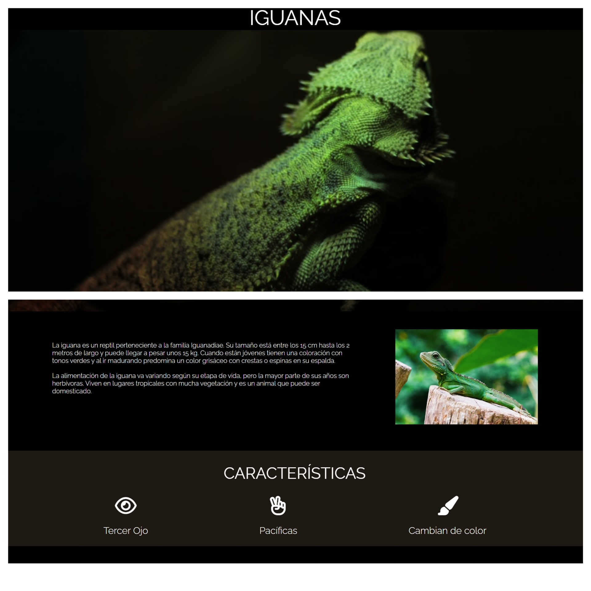 pagina de iguanas